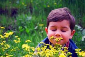 7 запахов, которые улучшают настроение