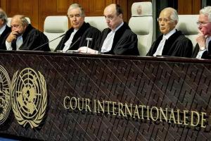 Политэксперт: Суд в Гааге может затянуться на 5 лет