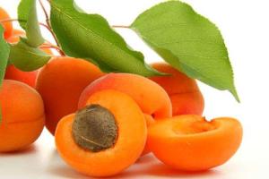 Ученые рассказали, какой продукт помогает вылечить рак