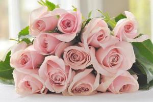 Воры-романтики обчистили цветочный магазин в Риге: унесли исключительно розы