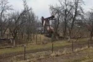 Житель Львовщины показал государству, как надо работать: мужчина пробурил скважину на своем огороде и качает нефть