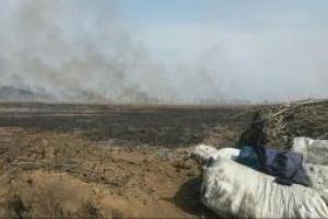 Под Мариуполем идут бои: у боевиков паника и потери, а у морпехов наметилась интересная динамика, - волонтер