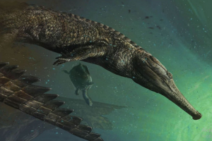 Американские ученые ошарашили новой гипотезой о человеке