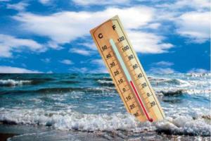 Ученые сделали сенсационное заявление: люди превратятся в карликов из-за глобального потепления