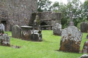 В Ирландии обнаружили массовое захоронение детей: ведется расследование