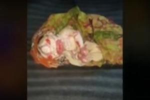 В Индии женщина родила инопланетянина: шокированная мать боится прикасаться к ребенку 