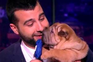 Иван Ургант отмечает день рождения: шоумену исполнилось 36 лет