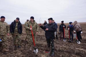 На месте ожесточенных боев за гору Карачун высадили дубовую рощу