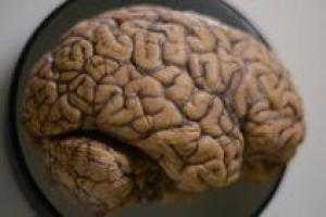 Ученые сделали сенсационное заявление: человеческий мозг "удваивает" каждое воспоминание