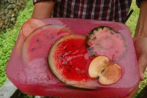 Как в Таиланде животных спасают от жары: опубликовано видео