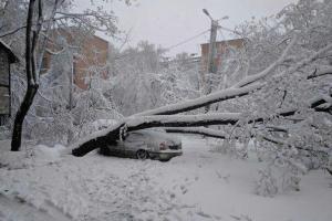 Погодная аномалия в Украине: аварии, заторы, падающие деревья и апрельские снеговики