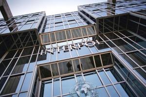 Почему Интерпол отказывается искать украинских экс-чиновников