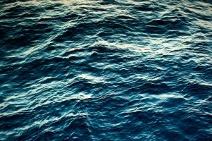 В озере Киева обнаружено мертвое тело мужчины 