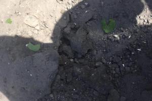 Оккупанты воюют против пенсионеров: раненая жительница Авдеевки рассказала о страшном обстреле