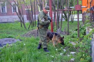 Информация о минировании сквера в Мирнограде не подтвердилась