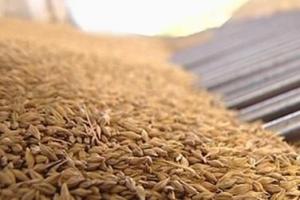 Украина экспортировала более 40 млн тонн зерна