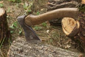 В Николаеве мужчина угрожал своим соседям топором