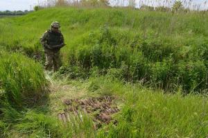 В морг Снежного привезли подорвавшегося сапера "ДНР", еще двоих прикопали в степи, - соцсети