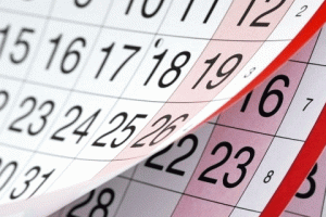 В институте национальной памяти предложили упорядочить календарь праздников