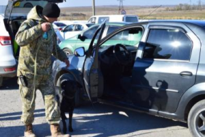 За сутки линию разграничения на Донбассе пересекли более 24 тысяч человек