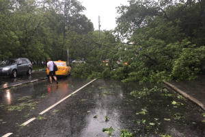 В Москве бушует ураган, есть погибшие