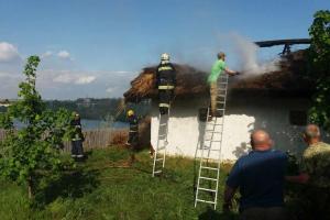 На острове Хортица спасатели гасили пожар