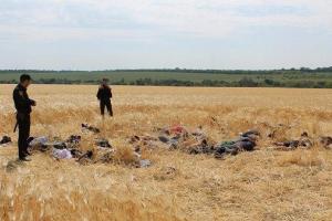 На Кировоградщине при попытке рейдерского захвата сельхозпредприятия задержан 31 человек