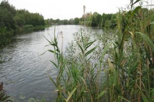 В Харьковской области в реке обнаружено тело мужчины