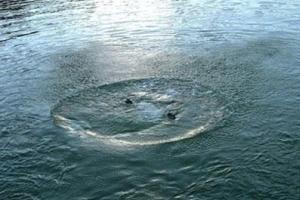 В Херсонской области обнаружили в ставке труп женщины