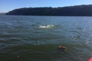 Пострадавший начал тонуть: В Хмельницкой области спасли мужчину, который перевернулся на лодке