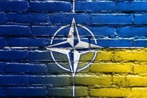 ВРУ законодательно утвердит необходимость вступления Украины в НАТО