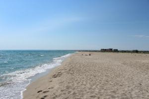В сети опубликовали фото пляжей аннексированного Крыма: Люди бы портили красоту