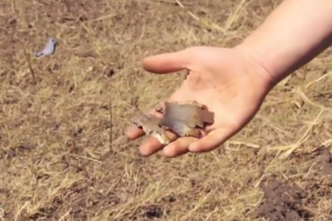 Обострение на Донецком направлении: террористы забрасывают бойцов АТО сотнями мин