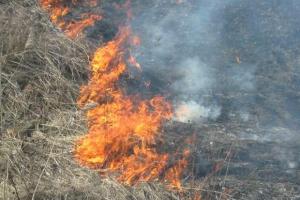 Пожар на военном полигоне в Днепропетровской области тушат уже почти сутки
