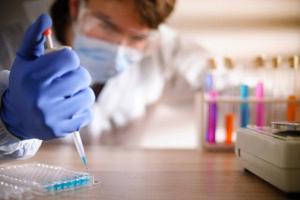 В Сумской области обнаружили сибирскую язву