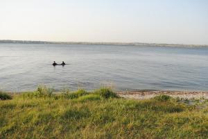 В Николаеве в реке обнаружили тела 6-летнего ребенка и его дедушки