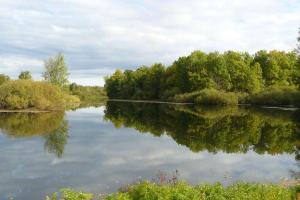 В "ЛНР" на реке Большая Каменка обнаружили расчлененный труп мужчины в хозяйственных сумках - соцсети