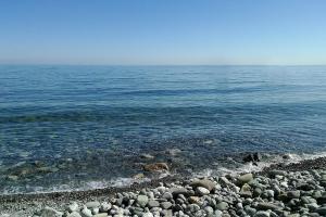 "При Януковиче жилось намного лучше!" - крымчане тоскуют по "украинским" временам, когда были туристы