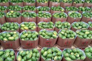 Из Херсонской области по Днепру отправили первую партию арбузов