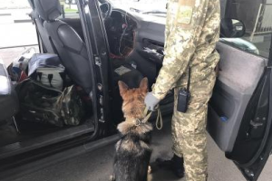 На государственной границе Украины пограничники обнаружили более 70 патронов к оружию