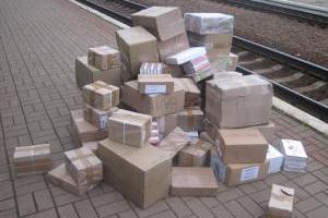Проводник поезда вез из России большое количество печатной продукции