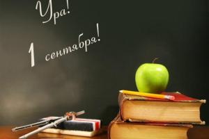 Ирина Геращенко призвала депутатов не выступать в школах 1 сентября