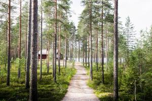 Загадочное исчезновение 37-ми украинцев в Финляндии: на сбор ягод их мог отправить российский бизнесмен