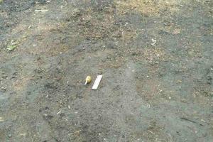 Под Харьковом женщина обнаружила гранату у себя в огороде