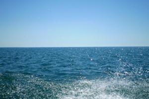 В Крыму закрыли шлагбаумом проезд к морю: отдыхающие в ярости