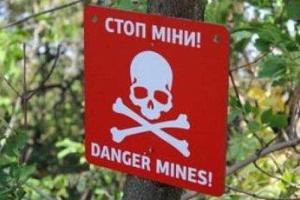 Трагедия в Луганской области: на взрывном устройстве подорвался 13-летний мальчик