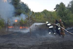 Масштабный пожар в Днепропетровской области ликвидирован