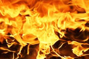 В Луганской области масштабный пожар уничтожил 5 жилых домов