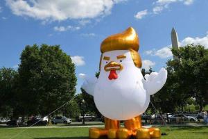 "Цыпленок Дон": Огромная инсталляция птицы с прической Трампа появилась возле Белого дома  