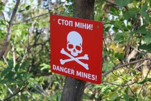 На Донетчине два человека подорвались на мине